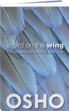 A Bird on the Wing